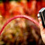 免费轰炸网页版